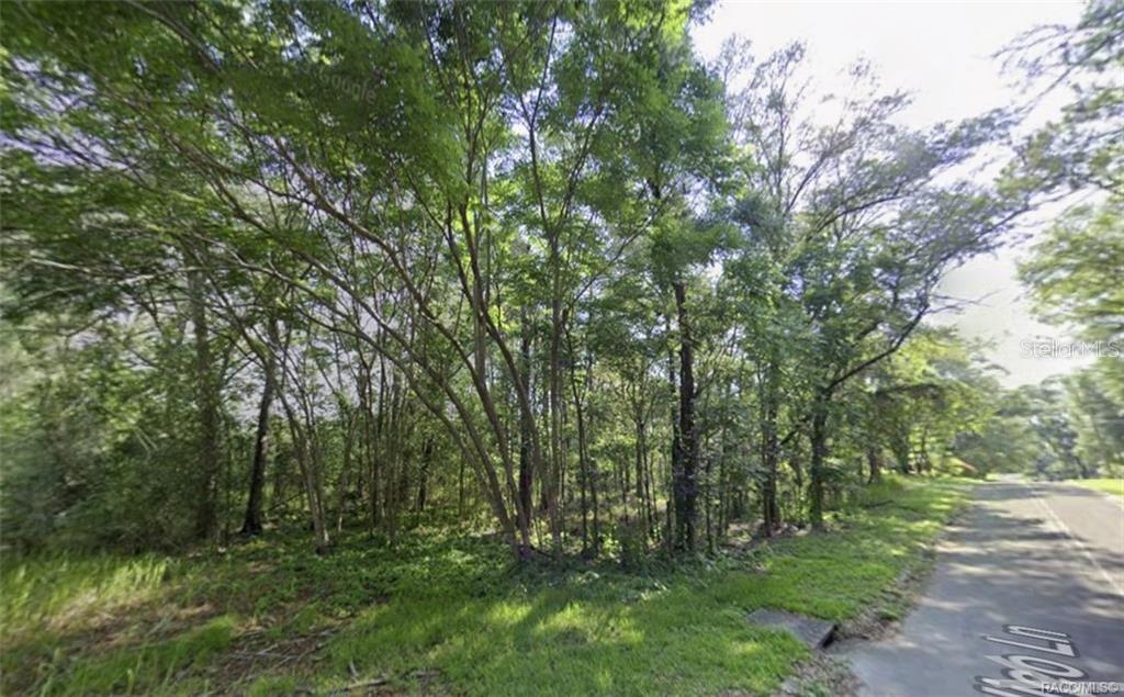 A wooded, undeveloped lot sits next to a paved road — 5975 E CALICO LANE, INVERNESS, FL