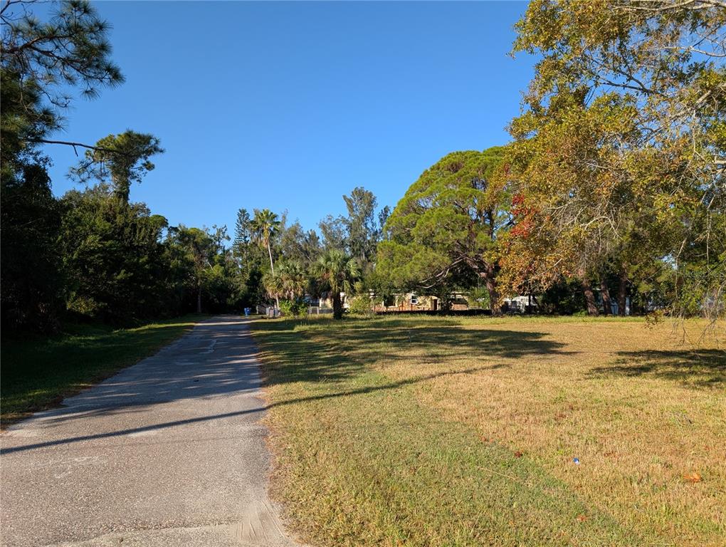 A paved road runs alongside a grassy lot bordered by mature trees and foliage — 1331 MENTONE DRIVE NE, ST PETERSBURG, FL