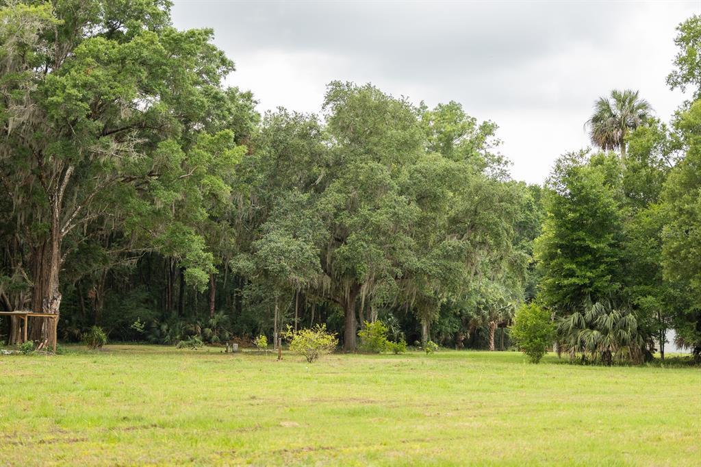 A grassy field leads to a dense forest of mature trees with hanging Spanish moss — 18833 NE 24TH AVENUE, CITRA, FL