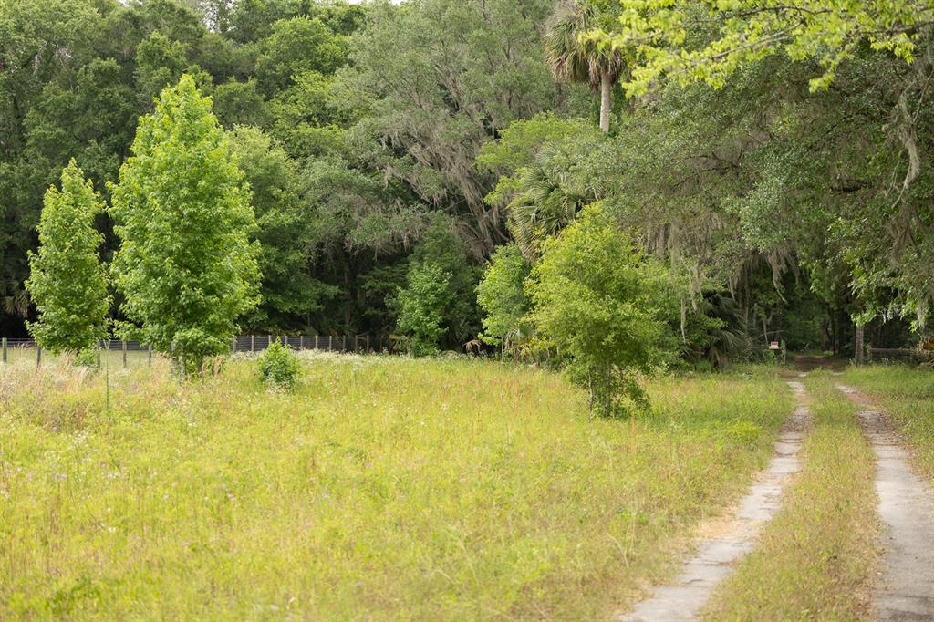 A dirt path leads through a grassy field toward a dense forest of trees — 18833 NE 24TH AVENUE, CITRA, FL