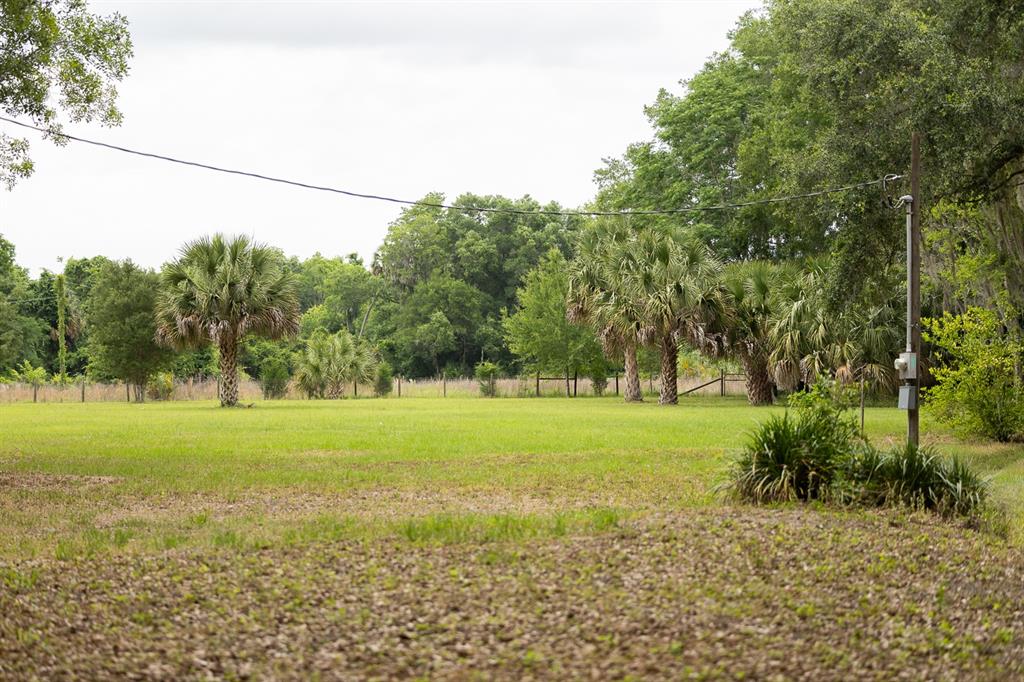 A grassy lot features scattered palm trees and a utility pole under a cloudy sky — 18833 NE 24TH AVENUE, CITRA, FL
