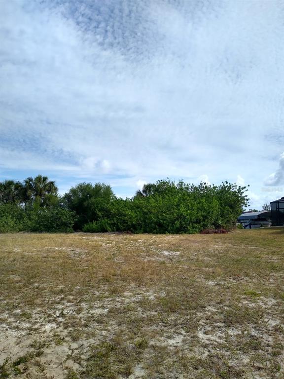 A vacant, grassy lot features sandy patches and dense green vegetation under a cloudy sky — 4221 NW 20TH TERRACE, CAPE CORAL, FL