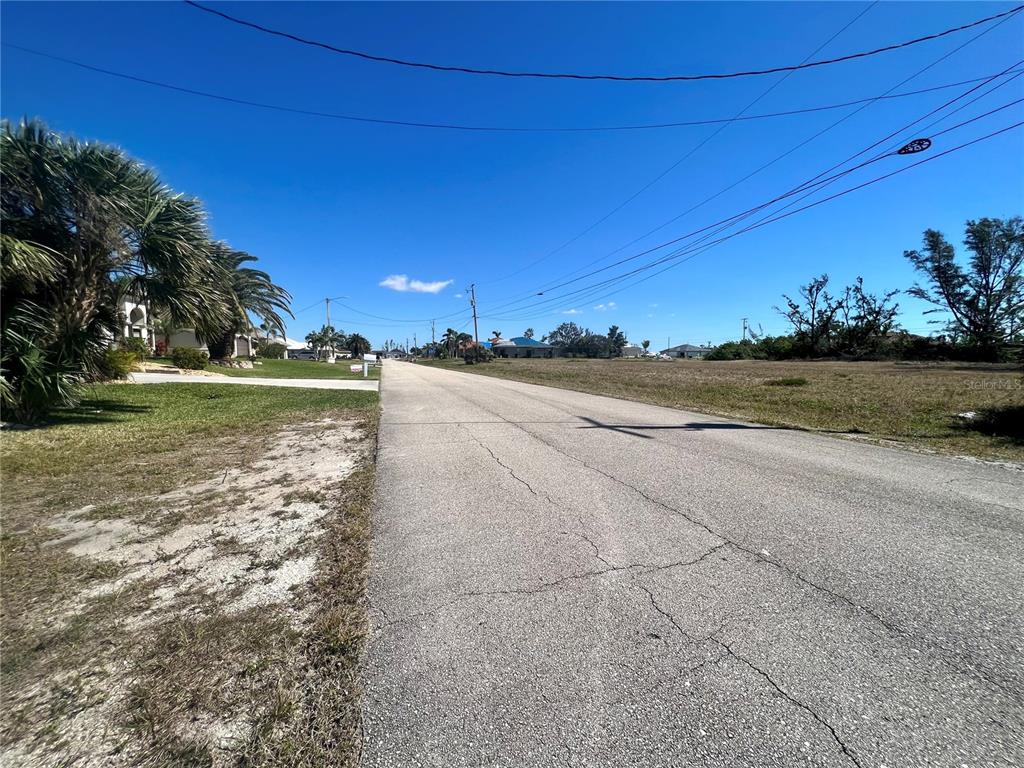 A paved road runs through a residential area with palm trees and vacant lots — 4221 NW 20TH TERRACE, CAPE CORAL, FL