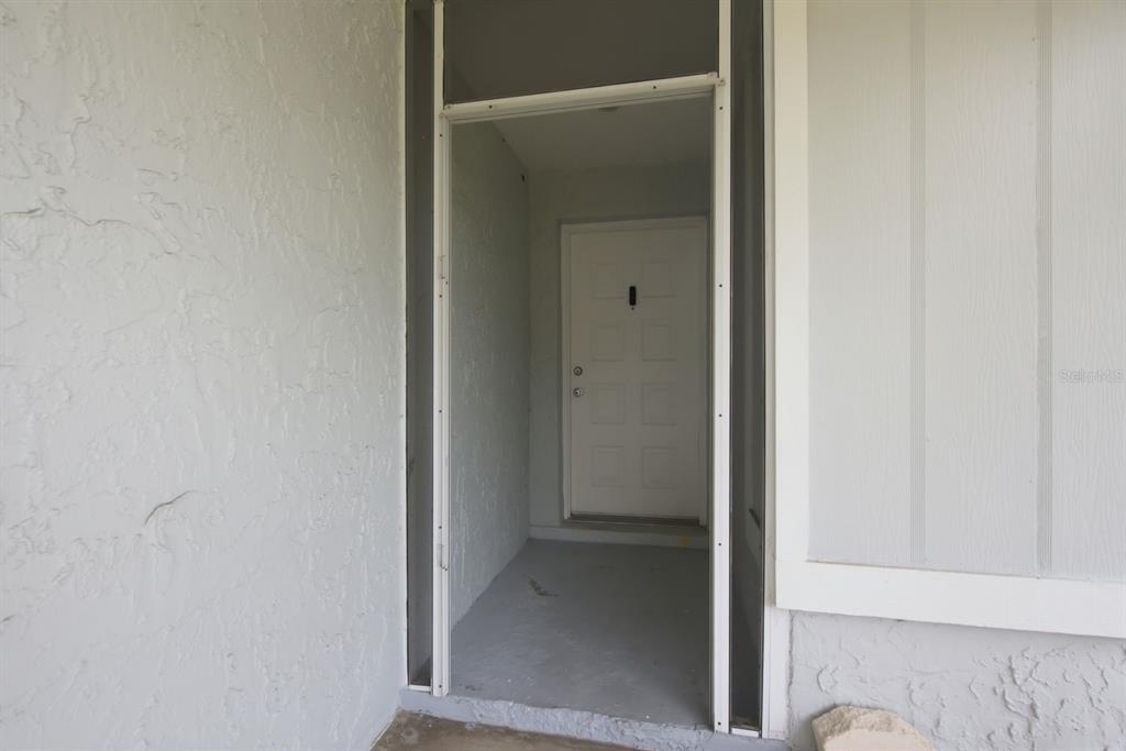 A white front door is recessed within a covered entryway with textured light gray walls — 14309 ARBOR HILLS ROAD, TAMPA, FL