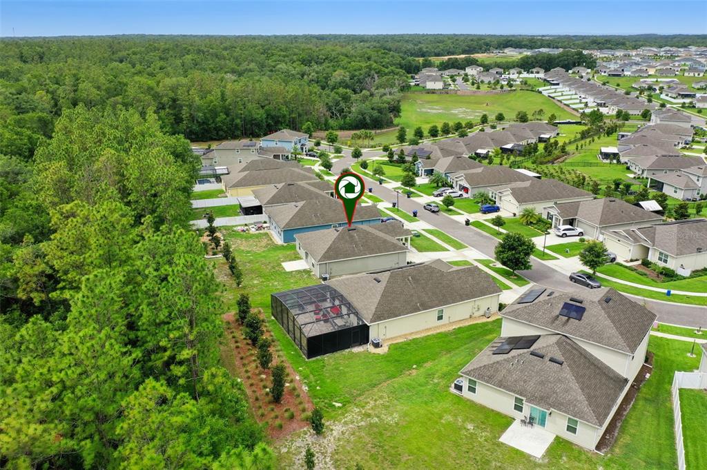 An aerial view shows a suburban house with a screened-in pool and wooded backyard — 4810 MAGNETITE LOOP, MOUNT DORA, FL