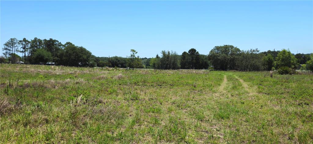 A wide, grassy, undeveloped lot features scattered trees and a dirt path under a clear sky — 24207 TURKEY LAKE ROAD, HOWEY IN THE HILLS, FL