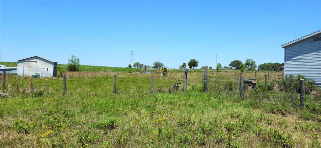 A grassy fenced yard features a small storage shed and a portion of a house — 24207 TURKEY LAKE ROAD, HOWEY IN THE HILLS, FL