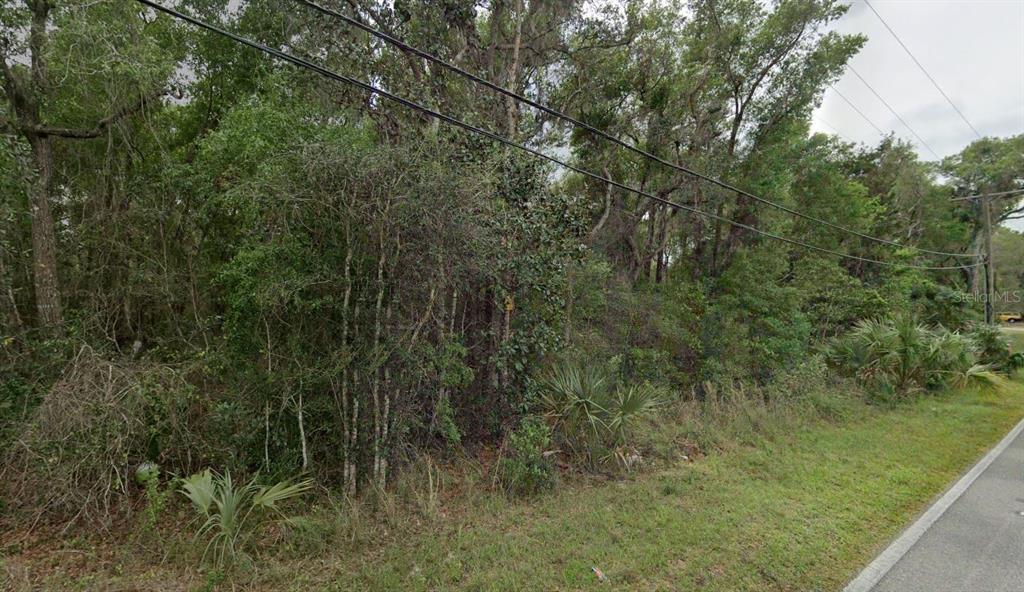 REYNOLDS ROAD