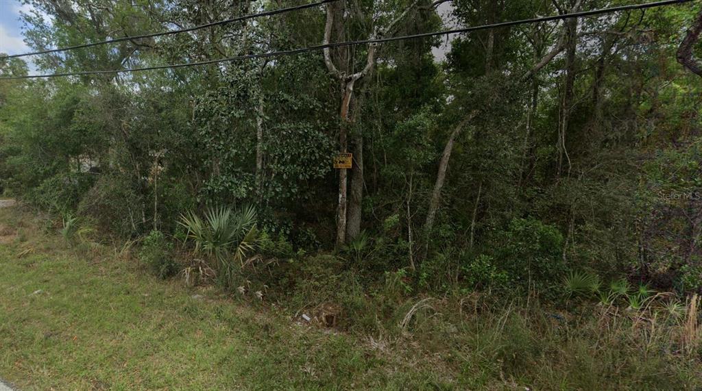 REYNOLDS ROAD, DE LEON SPRINGS, FL — photo 2 of 7