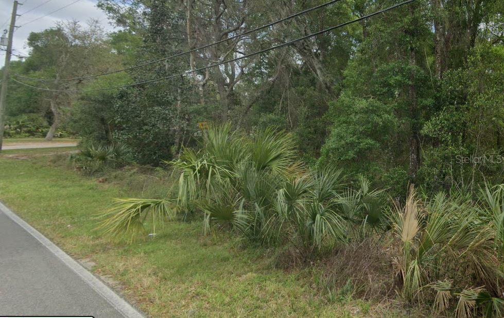 REYNOLDS ROAD, DE LEON SPRINGS, FL — photo 3 of 7