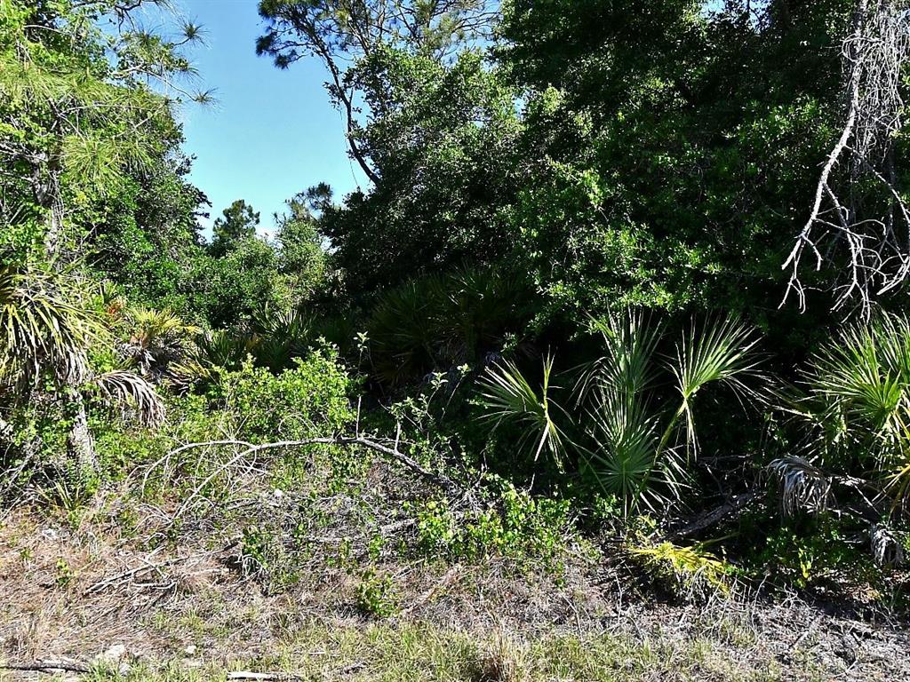 A dense, wooded area featuring various trees, shrubs, and saw palmetto plants under a blue sky — Lot 7 BARCELONA DRIVE, NORTH PORT, FL