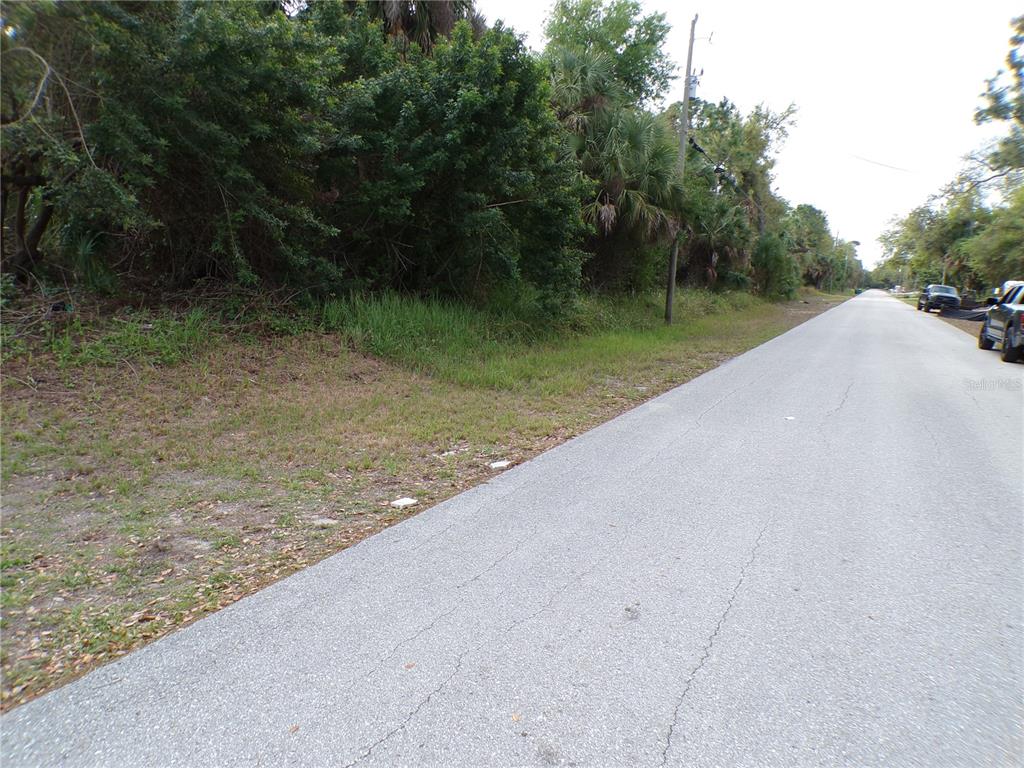 A paved road runs alongside a grassy area with dense trees and vegetation — 164 FERDON CIRCLE, PORT CHARLOTTE, FL