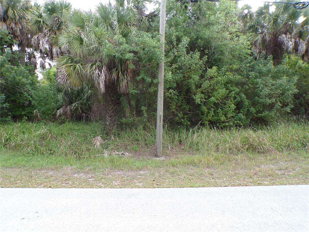 A utility pole stands in front of a dense, wooded lot with palm trees — 164 FERDON CIRCLE, PORT CHARLOTTE, FL