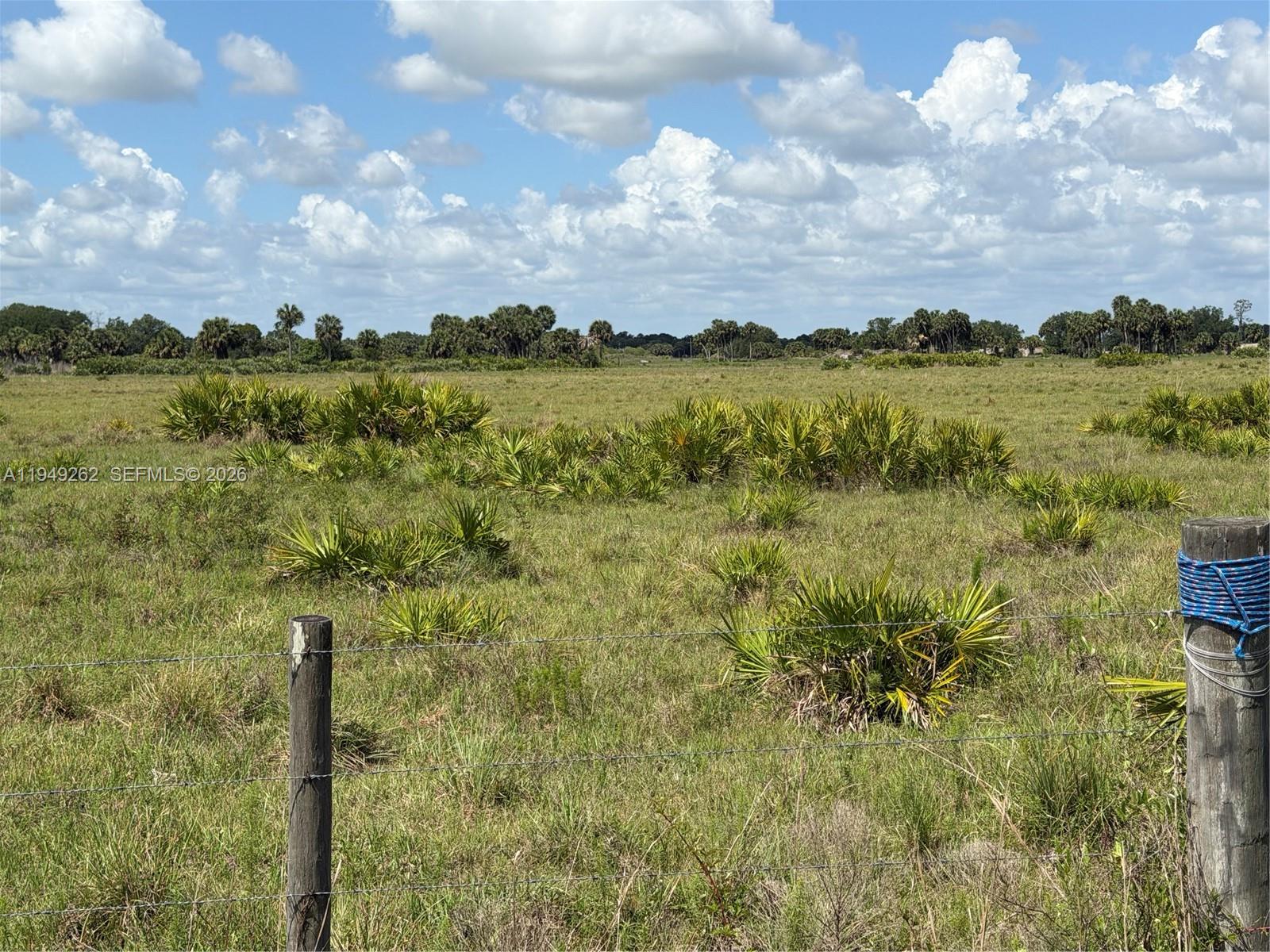 A barbed wire fence encloses a grassy field with scattered palmetto bushes under a cloudy sky — 27325 NW 72, Okeechobee FL 34972, OKEECHOBEE, FL