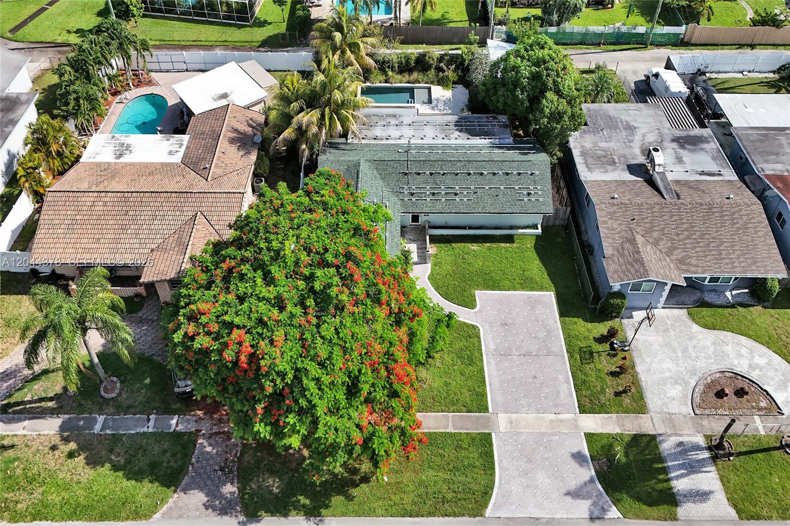 An aerial view shows three residential houses with pools, driveways, and a large flowering tree — 4311 Hayes St, Hollywood FL 33021, HOLLYWOOD, FL