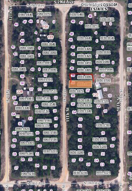 00 11TH STREET, INTERLACHEN, FL — photo 2 of 3