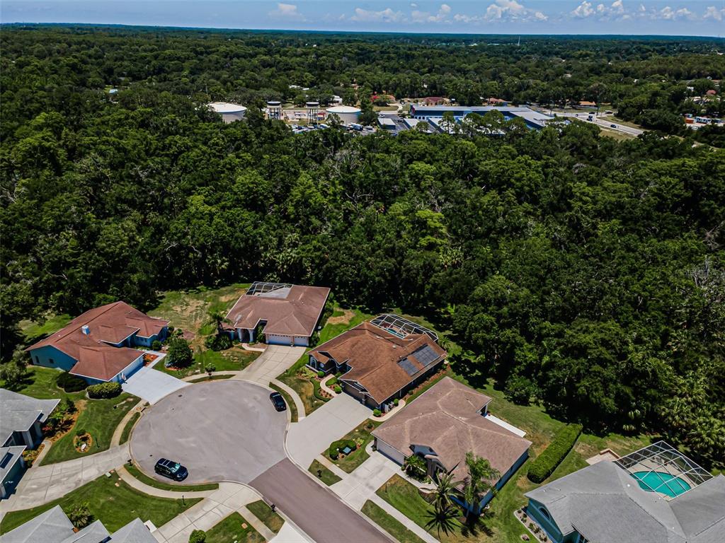 An aerial view shows several suburban houses with brown roofs surrounding a cul-de-sac — 6646 GARDEN PALM COURT, NEW PORT RICHEY, FL