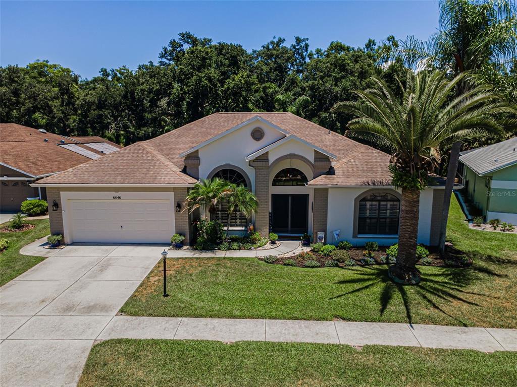 A single-story house with a tan brick facade, a two-car garage, and a palm tree — 6646 GARDEN PALM COURT, NEW PORT RICHEY, FL