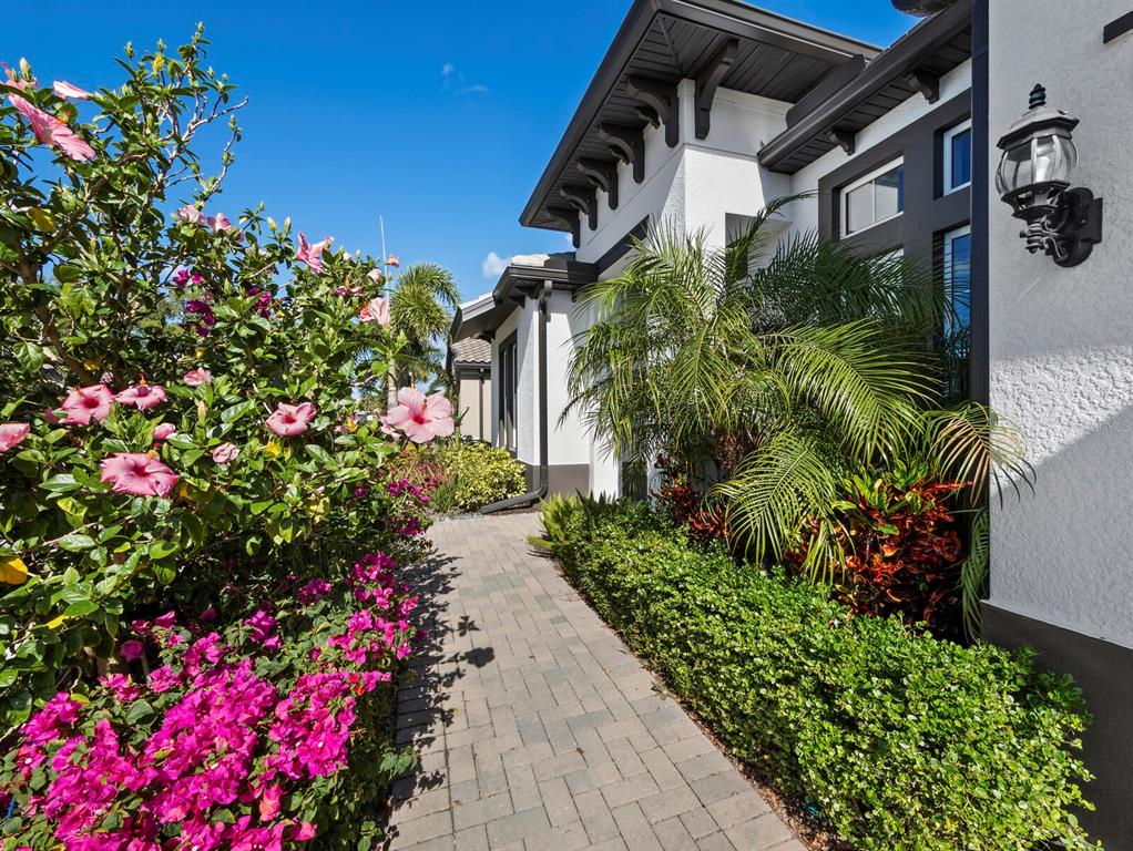 A paved walkway leads past a lush garden with hibiscus and bougainvillea toward a modern house — 6129 LUNGO LAGO DRIVE, SARASOTA, FL