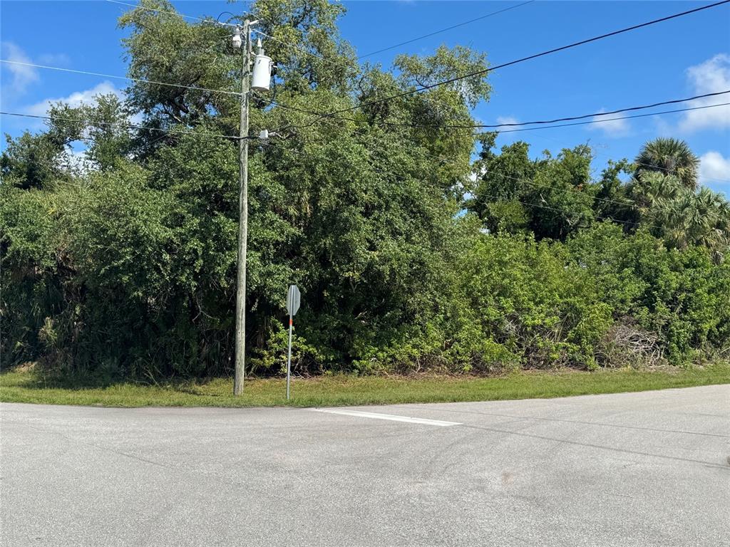 A utility pole stands at the corner of a paved road next to dense vegetation — 112 BYRON COURT, ROTONDA WEST, FL
