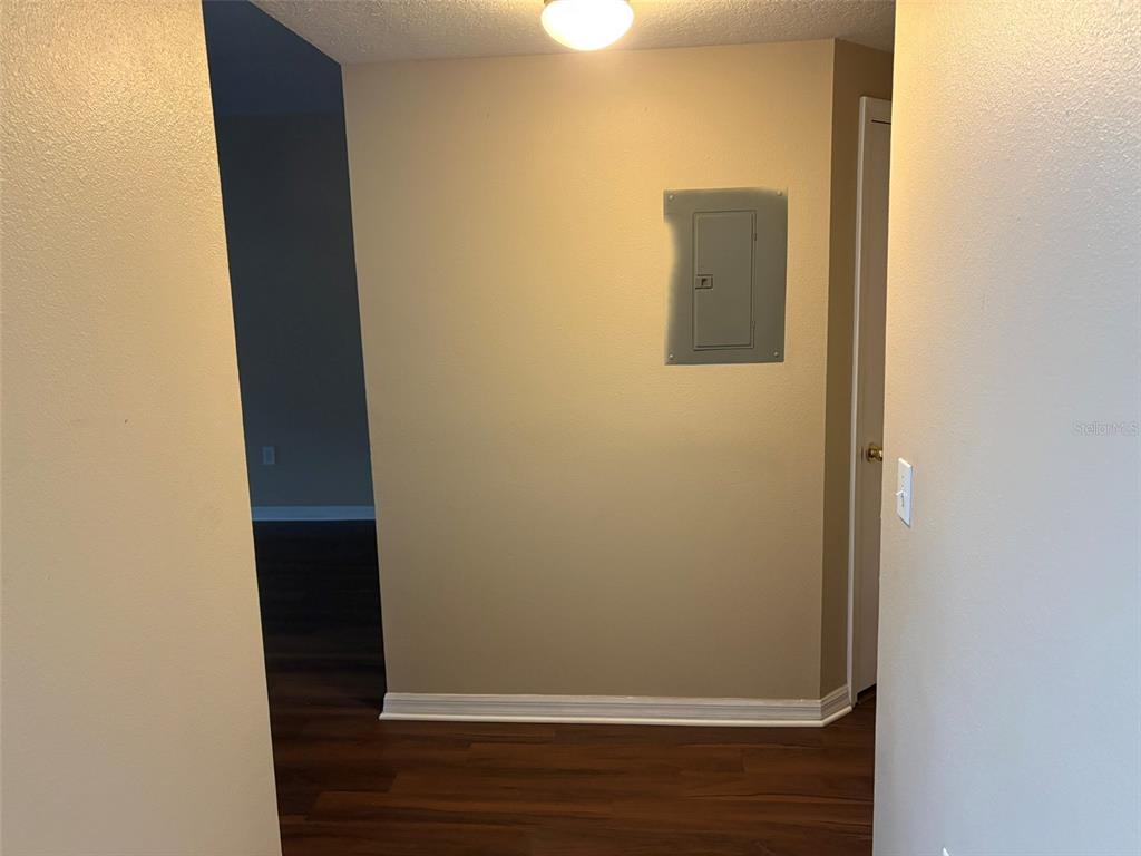 A hallway with dark wood-look flooring, beige walls, a ceiling light, and an electrical panel — 9610 SEADALE COURT UNIT 102, RIVERVIEW, FL