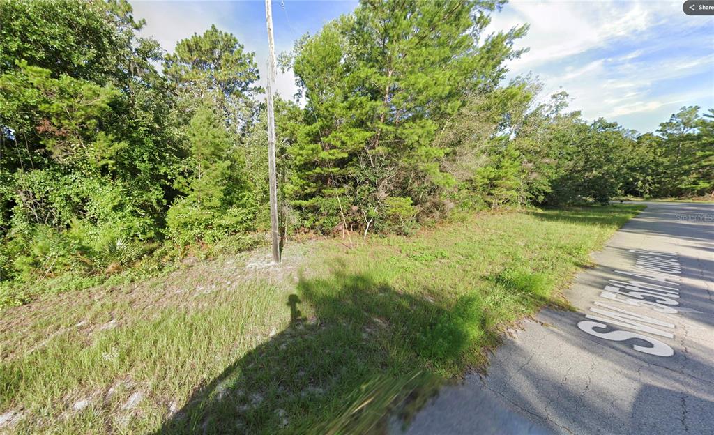A vacant, wooded residential lot sits next to a paved road with a utility pole — SW 55TH COURT ROAD, OCALA, FL