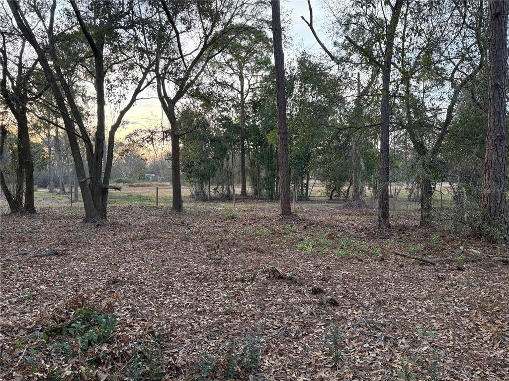 0 ALTURAS BABSON PARK CUTOFF ROAD Lot 78