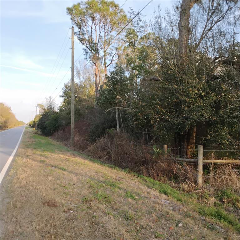 A paved road runs alongside a grassy shoulder and a wooded area with utility poles — 0 ALTURAS BABSON PARK CUTOFF ROAD Lot 78, BARTOW, FL