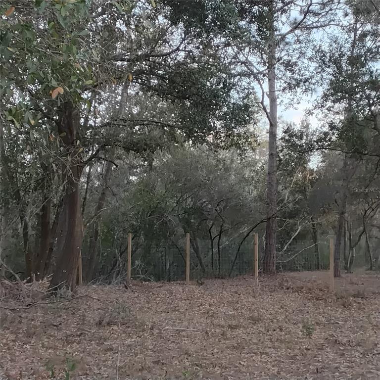 A wire fence stands at the edge of a wooded area covered in fallen leaves — 0 ALTURAS BABSON PARK CUTOFF ROAD Lot 78, BARTOW, FL