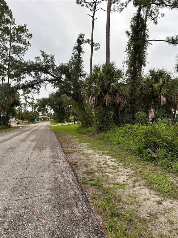 A paved road runs alongside a wooded area with pine trees and palmettos — 82 STATLER STREET, PORT CHARLOTTE, FL