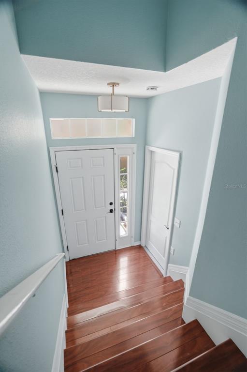 A staircase with wood treads leads down to an entryway with a white door — 7001 INTERBAY BOULEVARD UNIT 151, TAMPA, FL