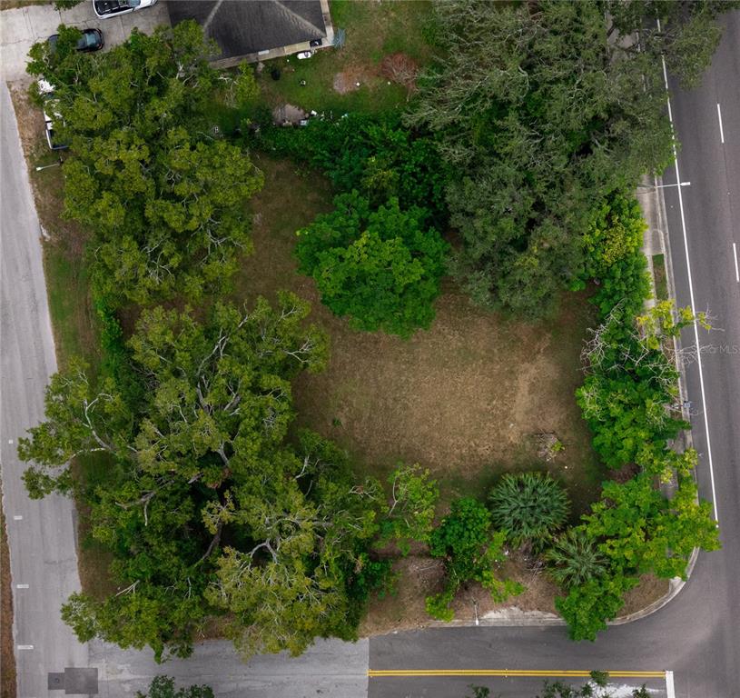 An aerial view shows a vacant, tree-lined corner lot situated between two paved roads — 3902 E HANLON STREET, TAMPA, FL