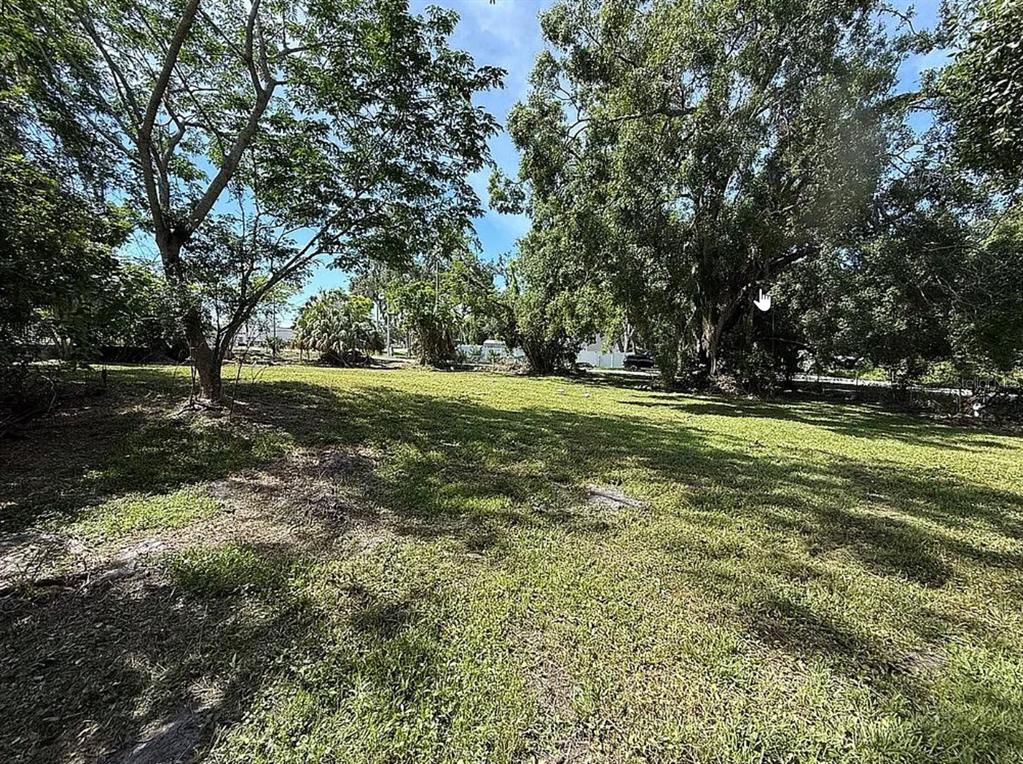 A large, grassy, tree-filled vacant lot under a bright blue sky — 3902 E HANLON STREET, TAMPA, FL