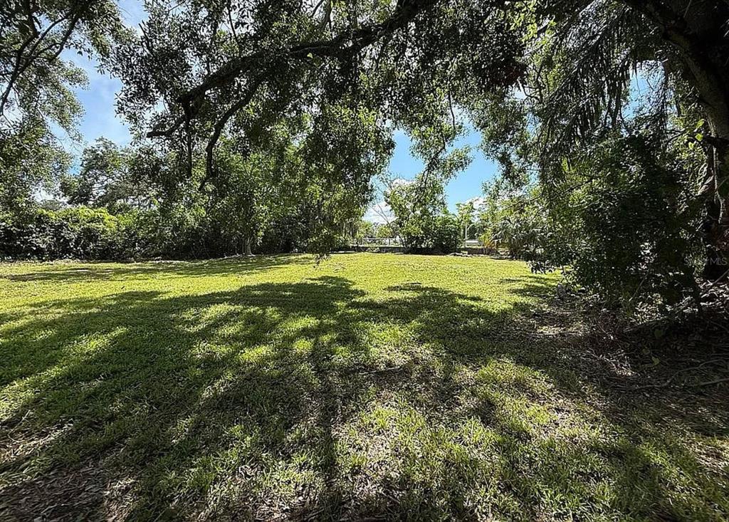 A grassy, tree-shaded vacant lot is surrounded by dense foliage under a blue sky — 3902 E HANLON STREET, TAMPA, FL