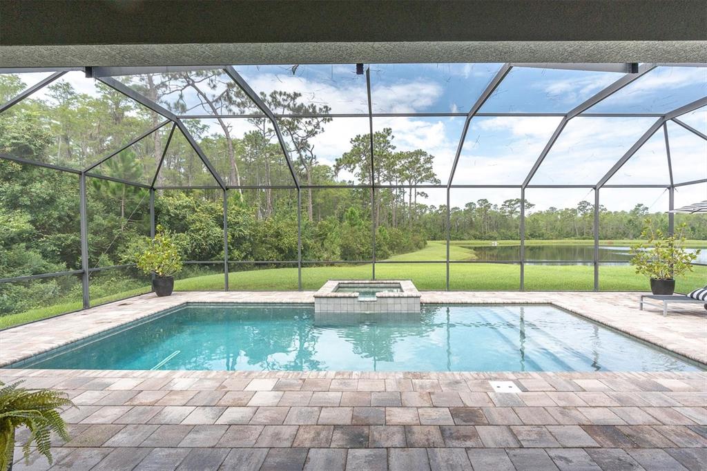 A screened-in pool and spa area overlooks a grassy lawn and a pond — 3099 BARBOUR TRAIL, ODESSA, FL