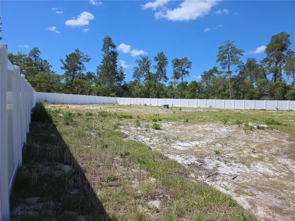A fenced, vacant lot with sandy soil and sparse grass borders a wooded area — 2450 SW 170TH LOOP, OCALA, FL
