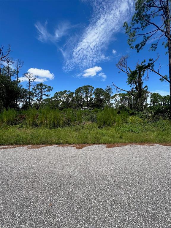 A vacant, grassy lot with trees and shrubs is viewed from an adjacent paved road — 4841 O SHEA STREET, NORTH PORT, FL