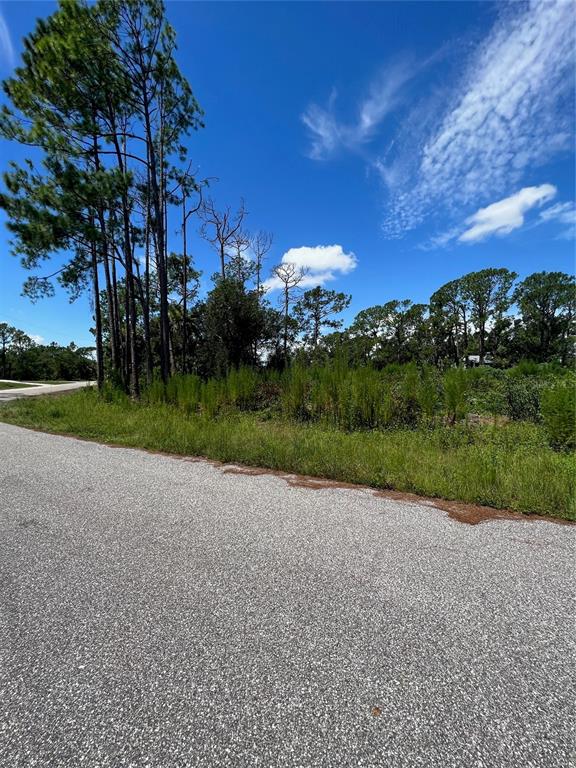 A paved road runs alongside a vacant, wooded lot under a bright blue sky — 4841 O SHEA STREET, NORTH PORT, FL