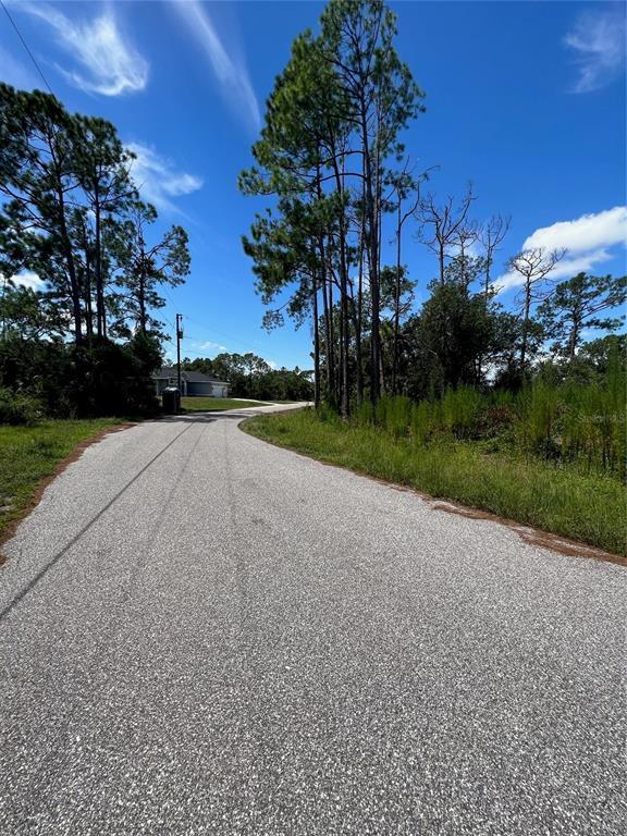 A paved road curves past tall pine trees toward a house in the distance — 4841 O SHEA STREET, NORTH PORT, FL