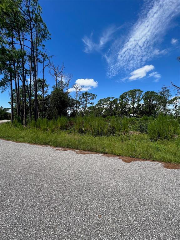 A paved road runs alongside a vacant, grassy lot with scattered trees and shrubs — 4841 O SHEA STREET, NORTH PORT, FL