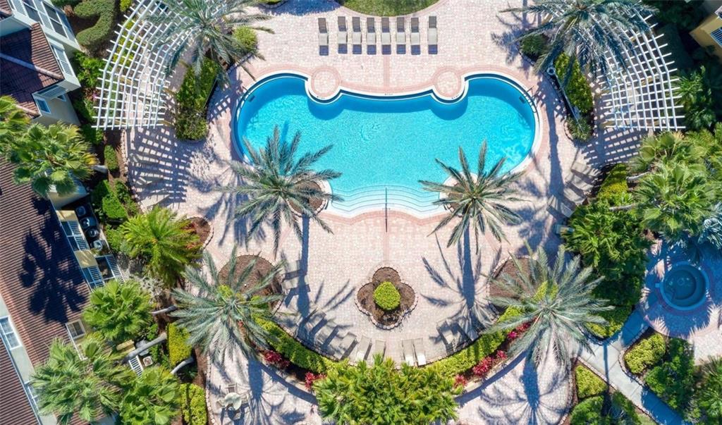 An aerial view of a swimming pool surrounded by palm trees, lounge chairs, and pergolas — 5551 BENTGRASS DRIVE UNIT 11-303, SARASOTA, FL