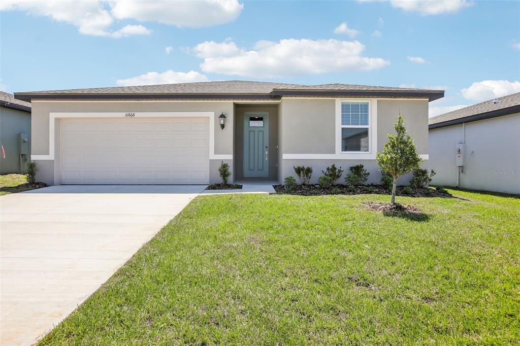 31668 WILD GRAPE LANE