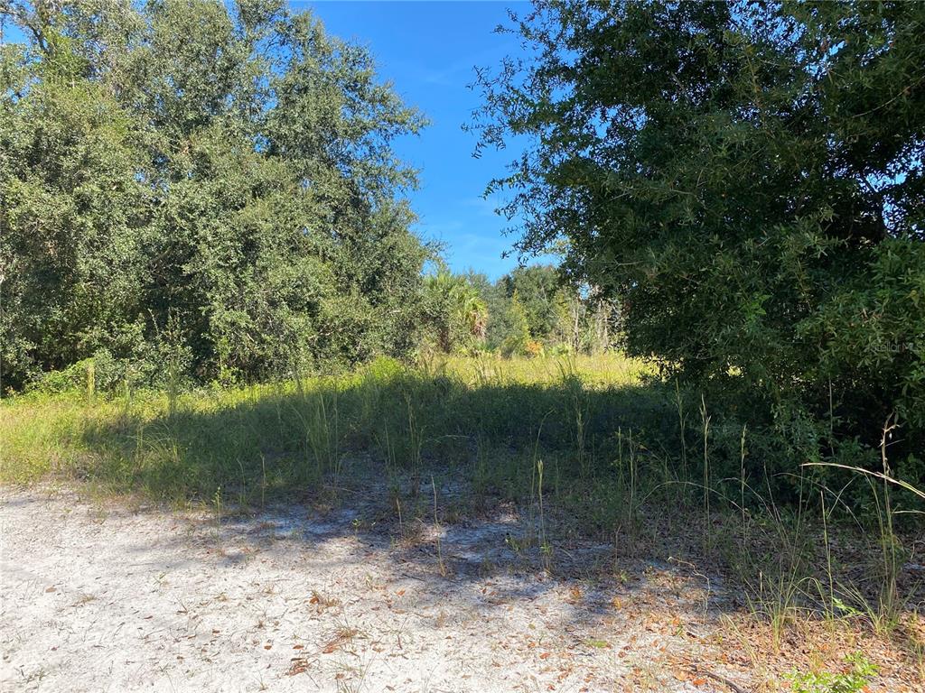 xxxx NE 3RD CT, CITRA, FL — photo 2 of 5