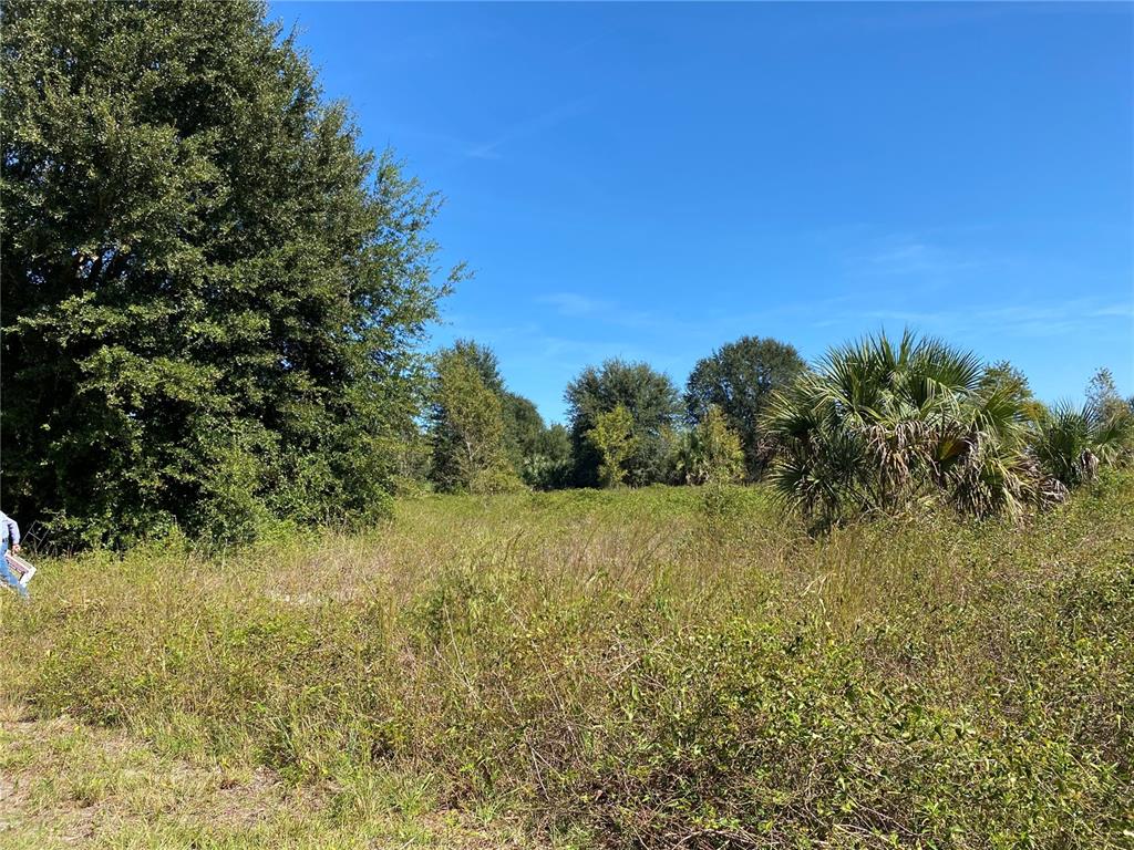 xxxx NE 3RD CT, CITRA, FL — photo 3 of 5