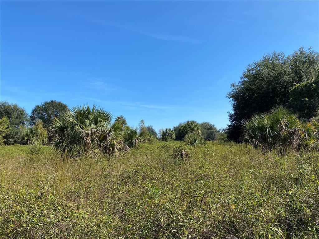xxxx NE 3RD CT, CITRA, FL — photo 4 of 5