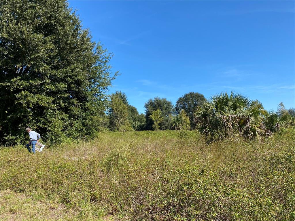 xxxx NE 3RD CT, CITRA, FL — photo 5 of 5