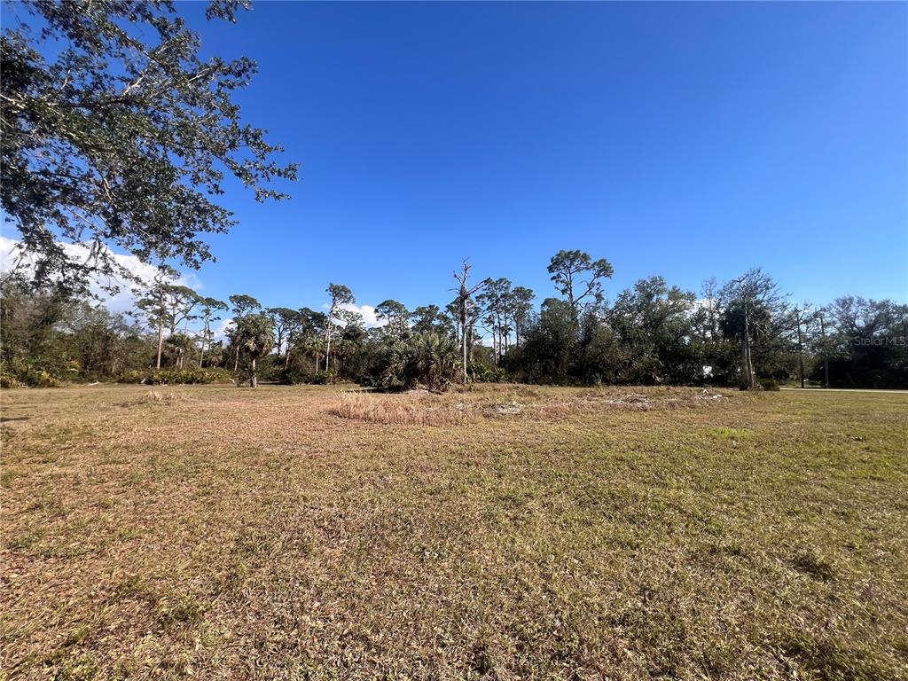 A large, flat, grassy vacant lot is bordered by a line of mature trees — 16574 CAPE HORN BOULEVARD, PUNTA GORDA, FL