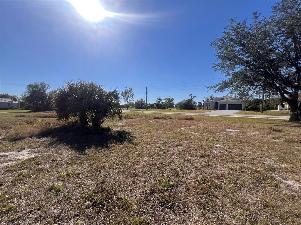 A vacant, grassy lot features a palm tree and a distant house under a sunny sky — 16574 CAPE HORN BOULEVARD, PUNTA GORDA, FL