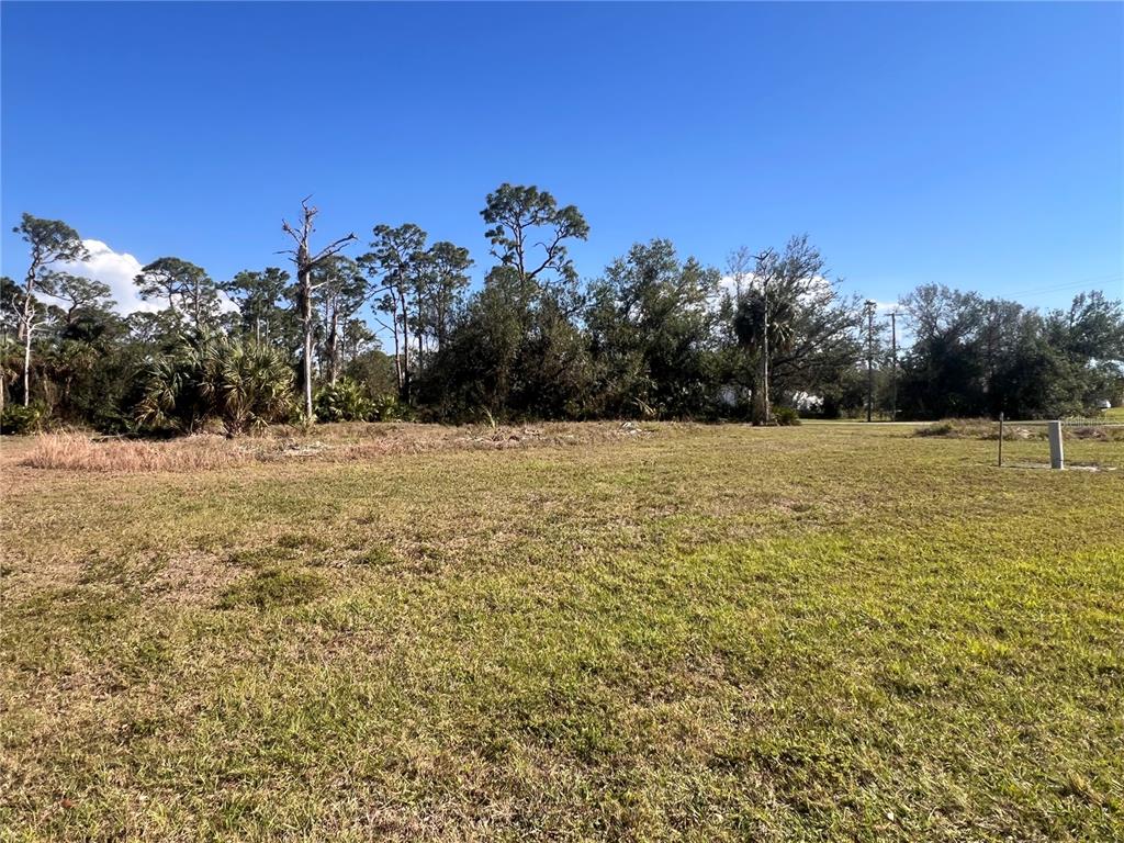 A grassy, vacant lot features scattered trees and shrubs under a clear blue sky — 16574 CAPE HORN BOULEVARD, PUNTA GORDA, FL