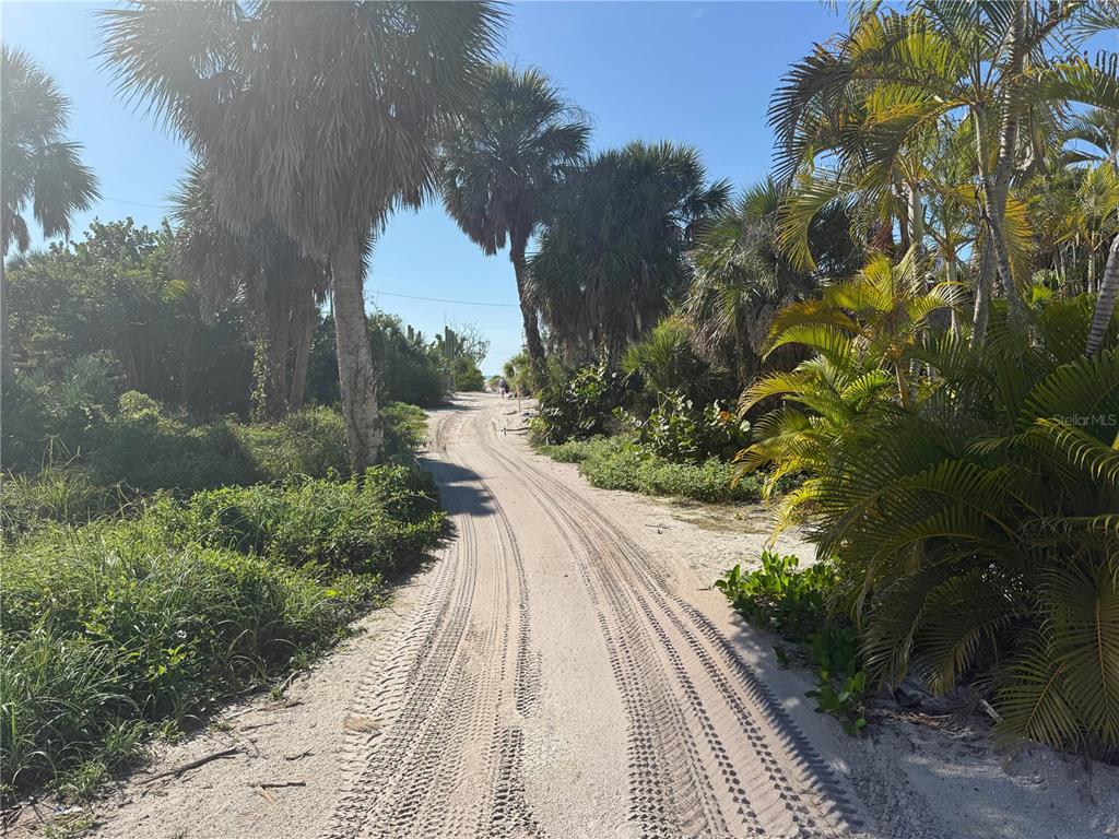 A sandy path leads through lush tropical vegetation toward the beach under a clear sky — 8092 LITTLE GASPARILLA ISLAND, PLACIDA, FL
